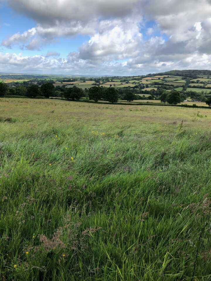 This is a picture of fields and hills and sky